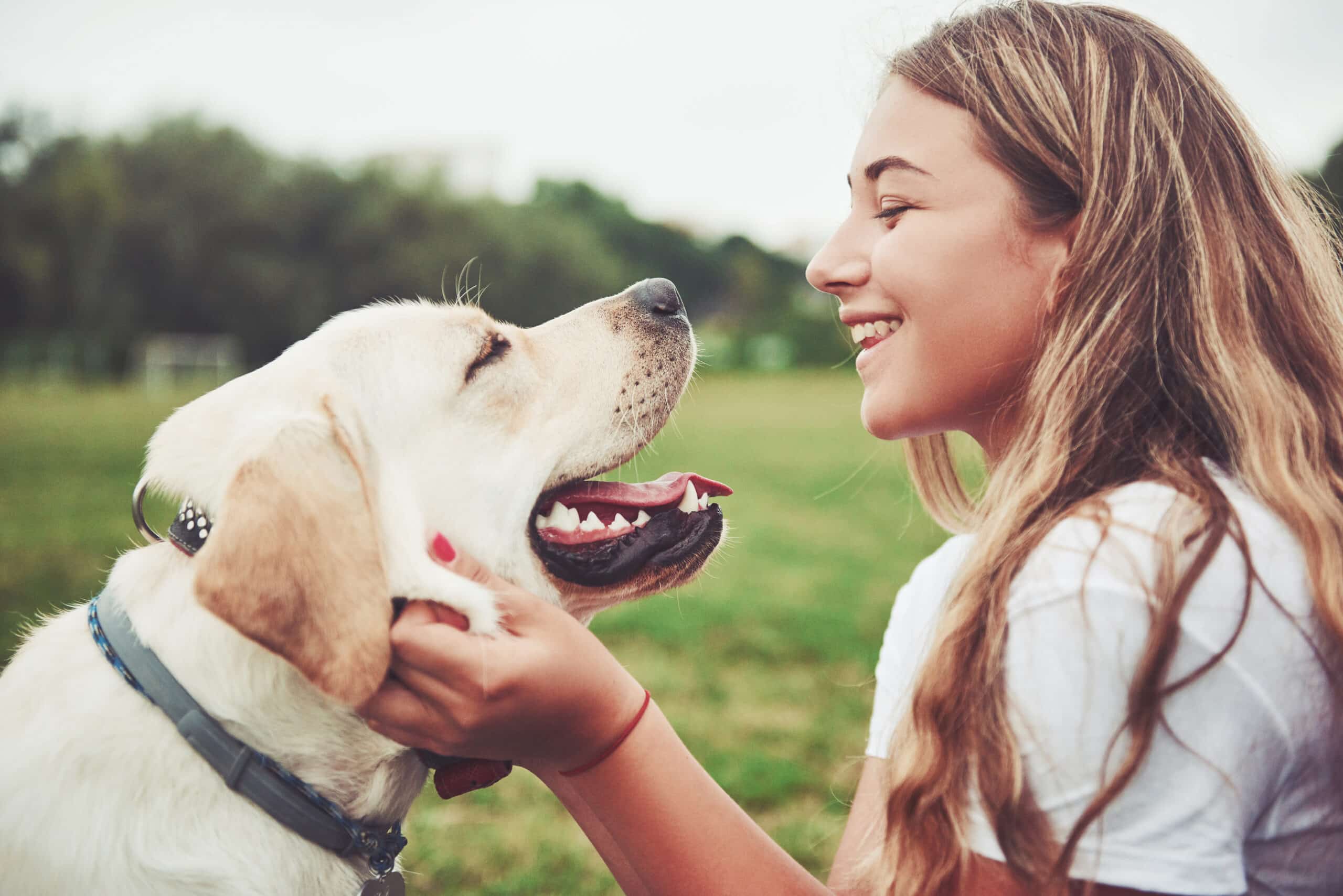 effetto quando si parla con voce infantile al cane