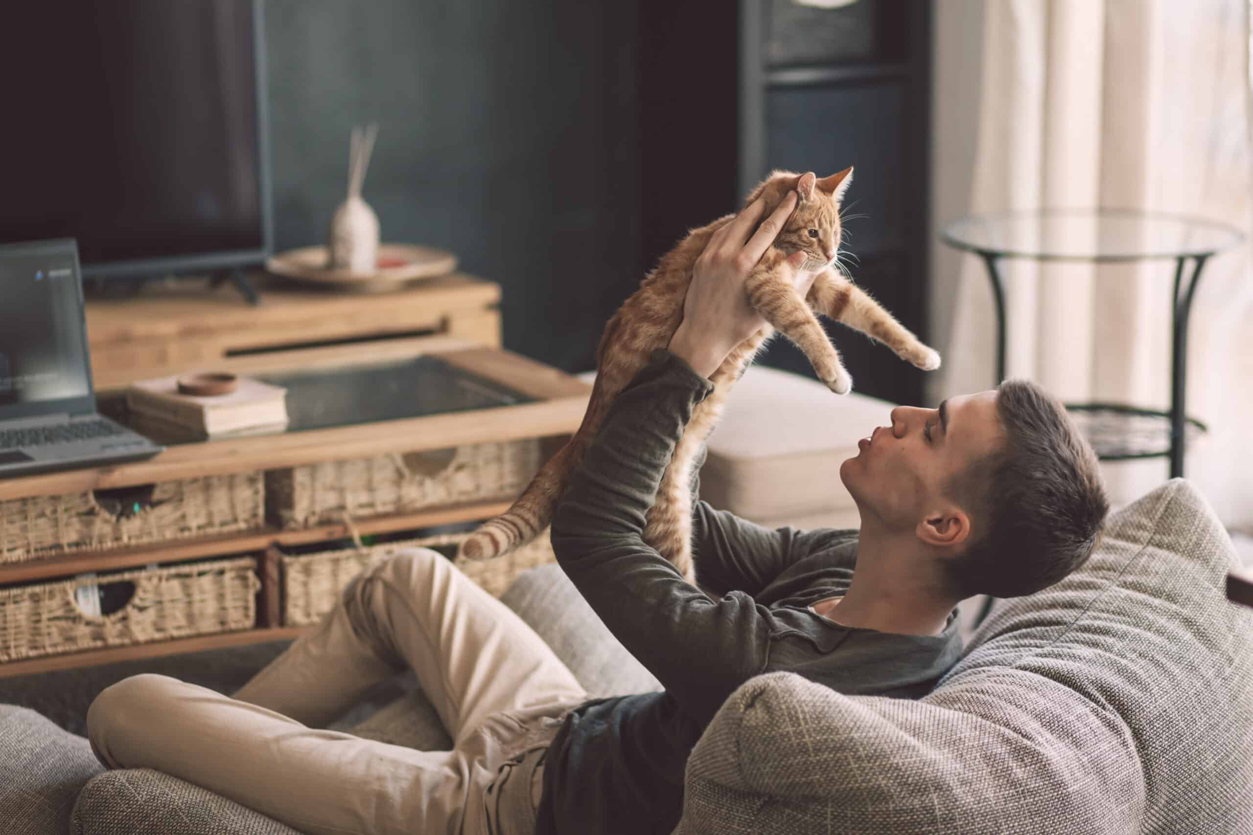effetto psicologico di vivere con un gatto
