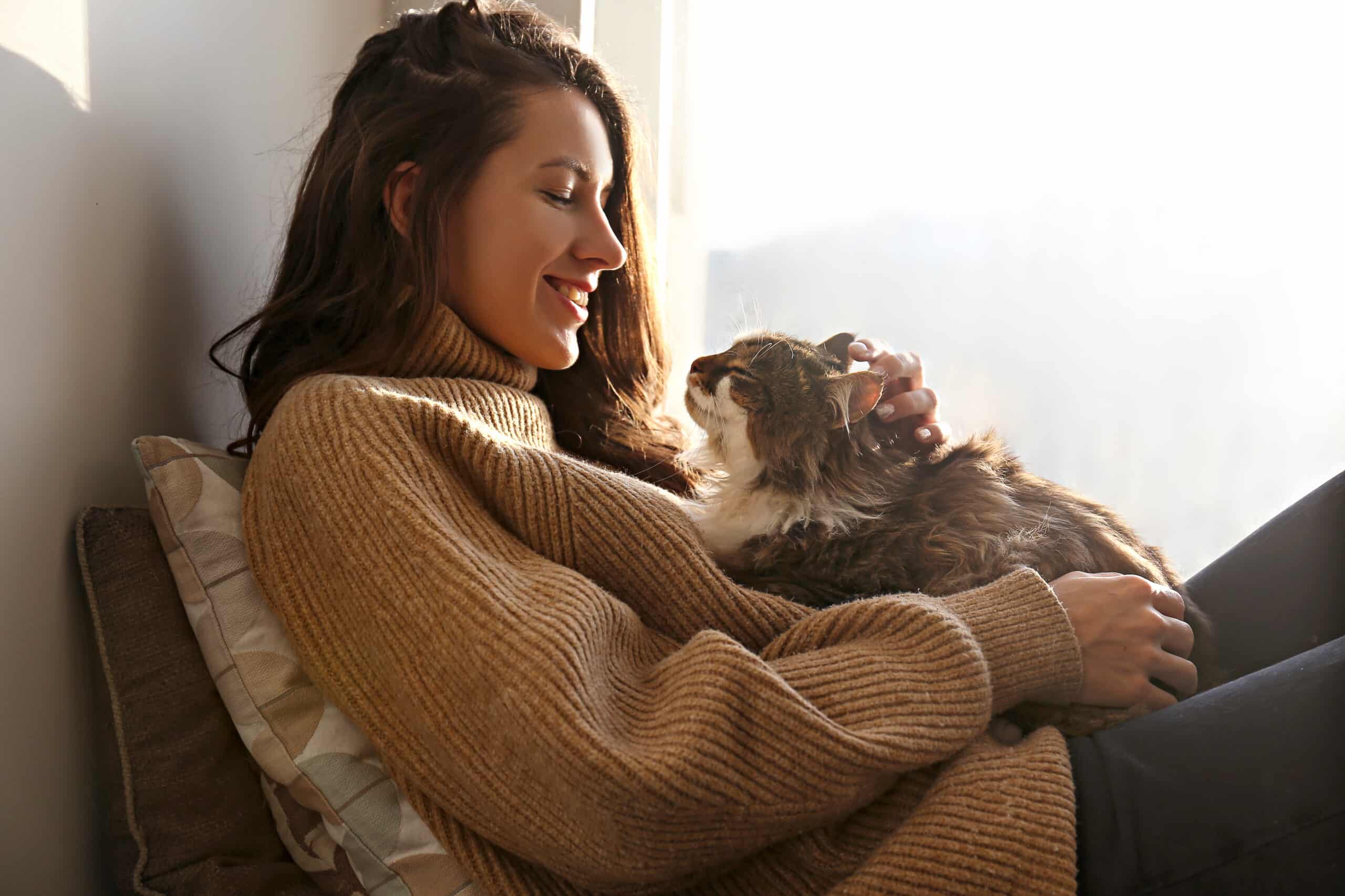 amore del padrone per il gatto