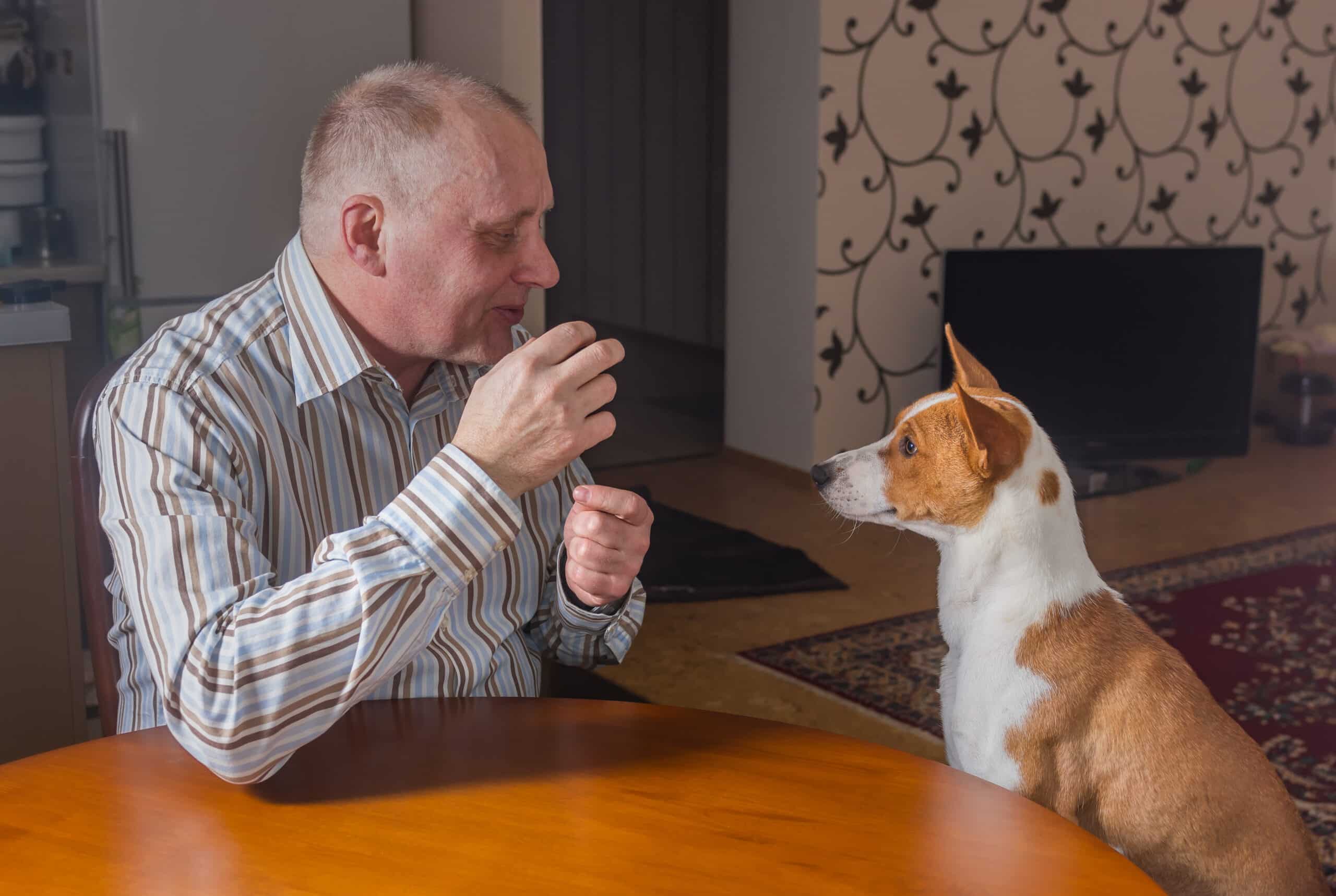 il cane impara a parlare