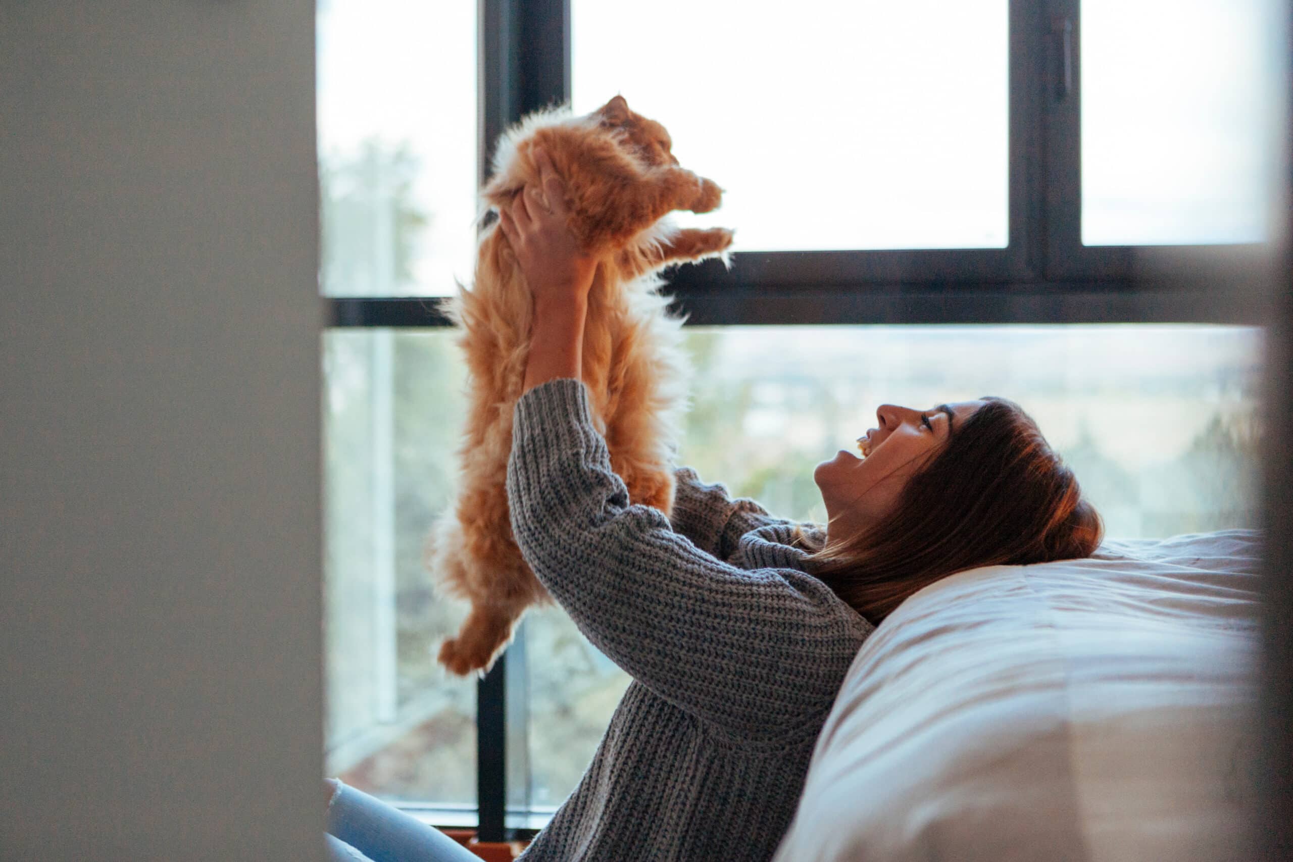 legame emotivo con i nostri gatti