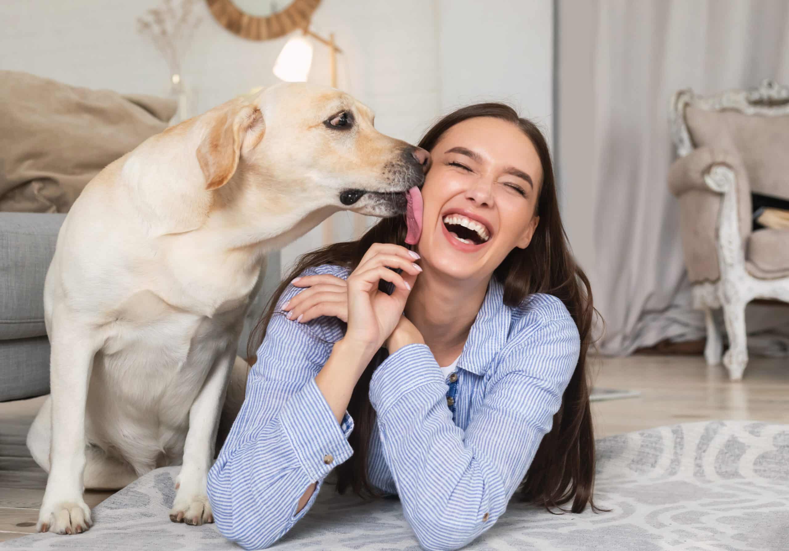 significato delle leccate del cane