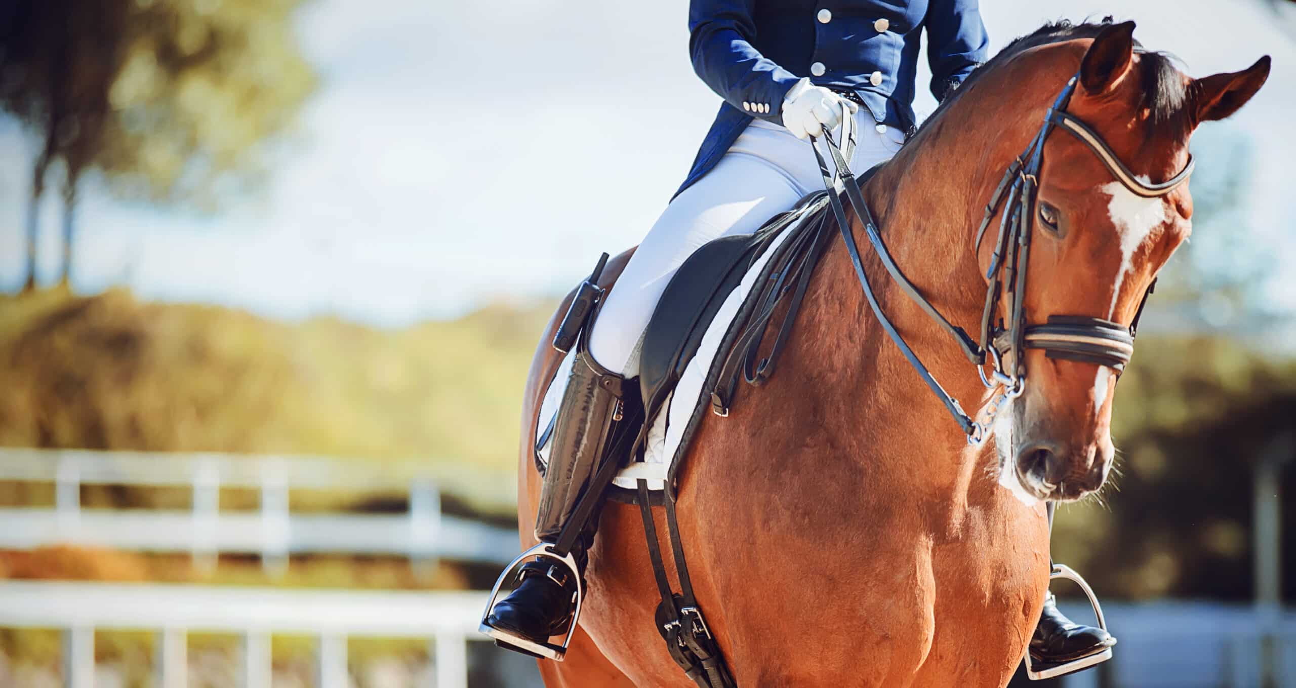 mutazione che ha reso i cavalli cavalcabili