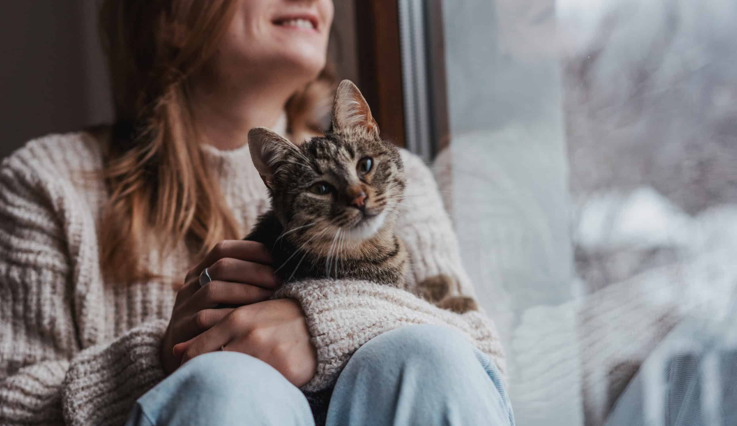 gato em casa durante o tempo frio