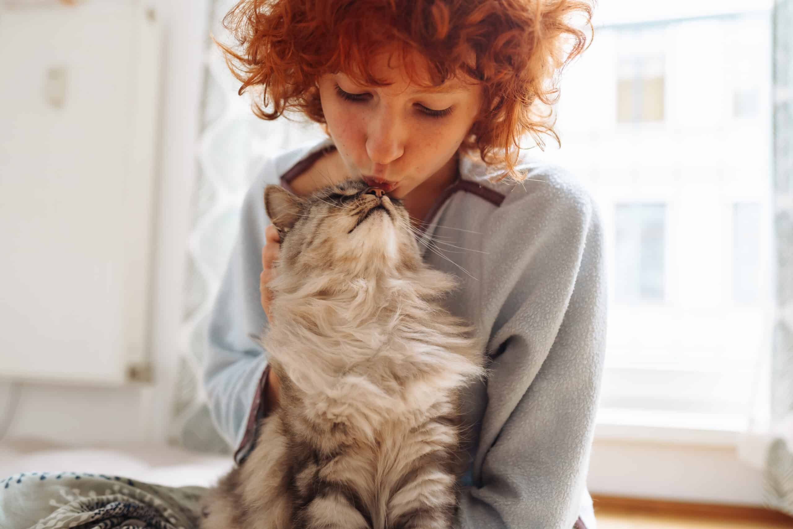 motivo del nostro amore per i gatti