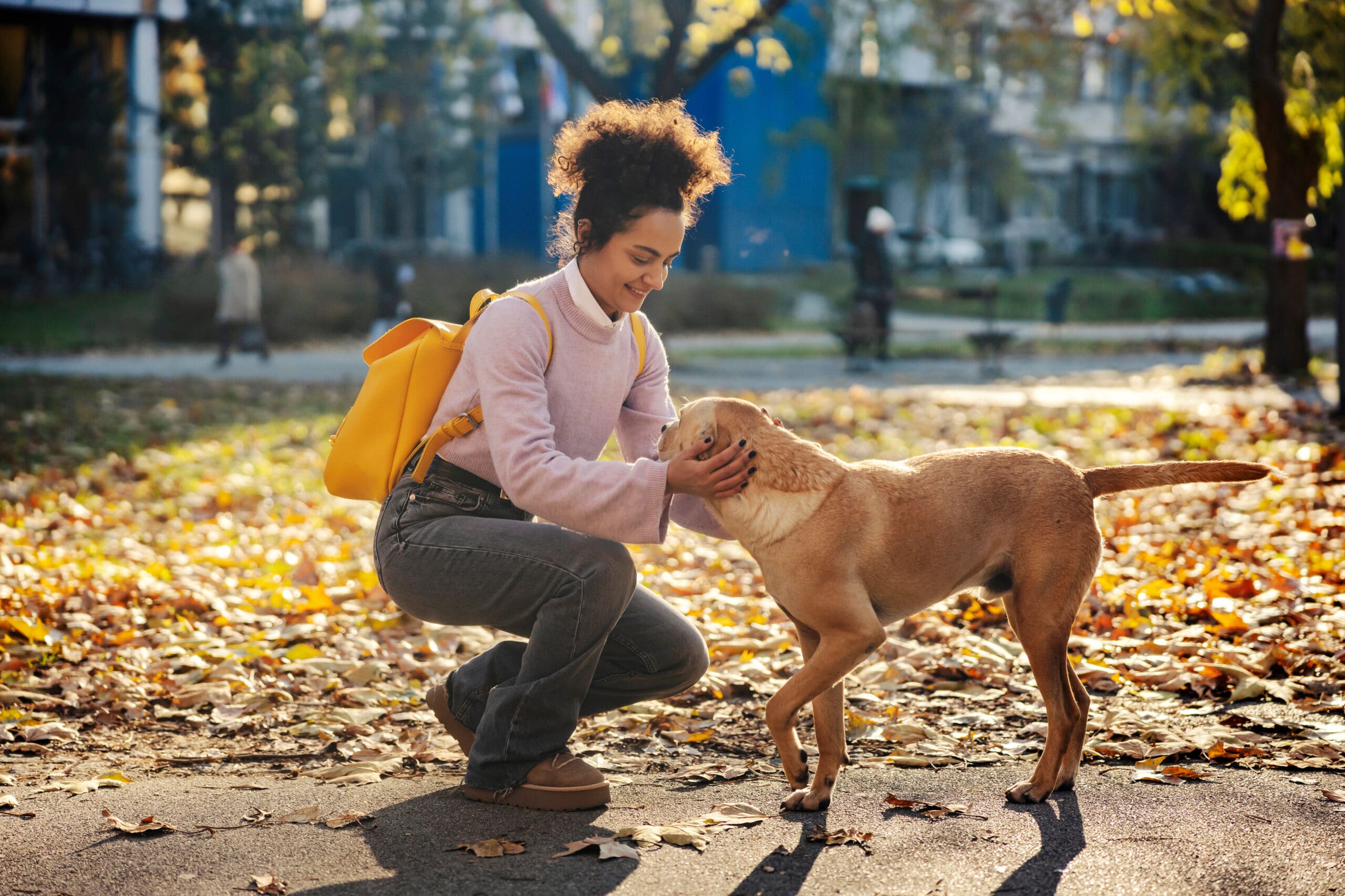 7 qualità psicologiche delle persone che accarezzano i cani per strada